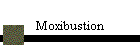 Moxibustion