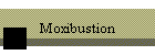 Moxibustion